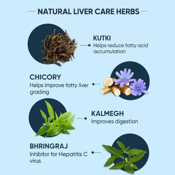Liv Kawach Powder – Ayurvedic Liver Detox & Digestive Support - Image 3